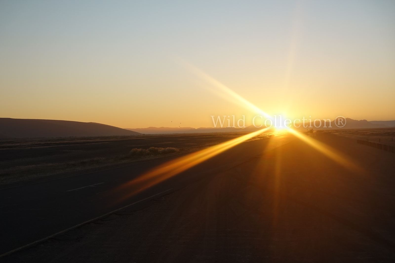 Before the Desert preview