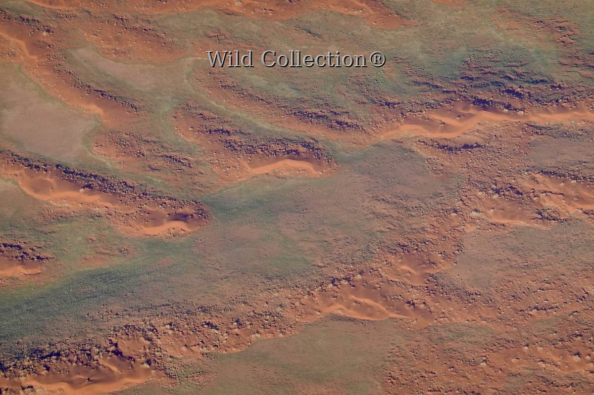 Quiet Middle preview