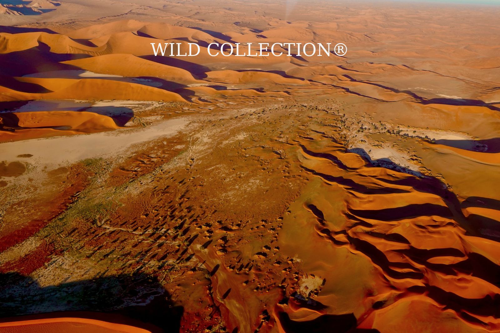 Sand Deepens preview