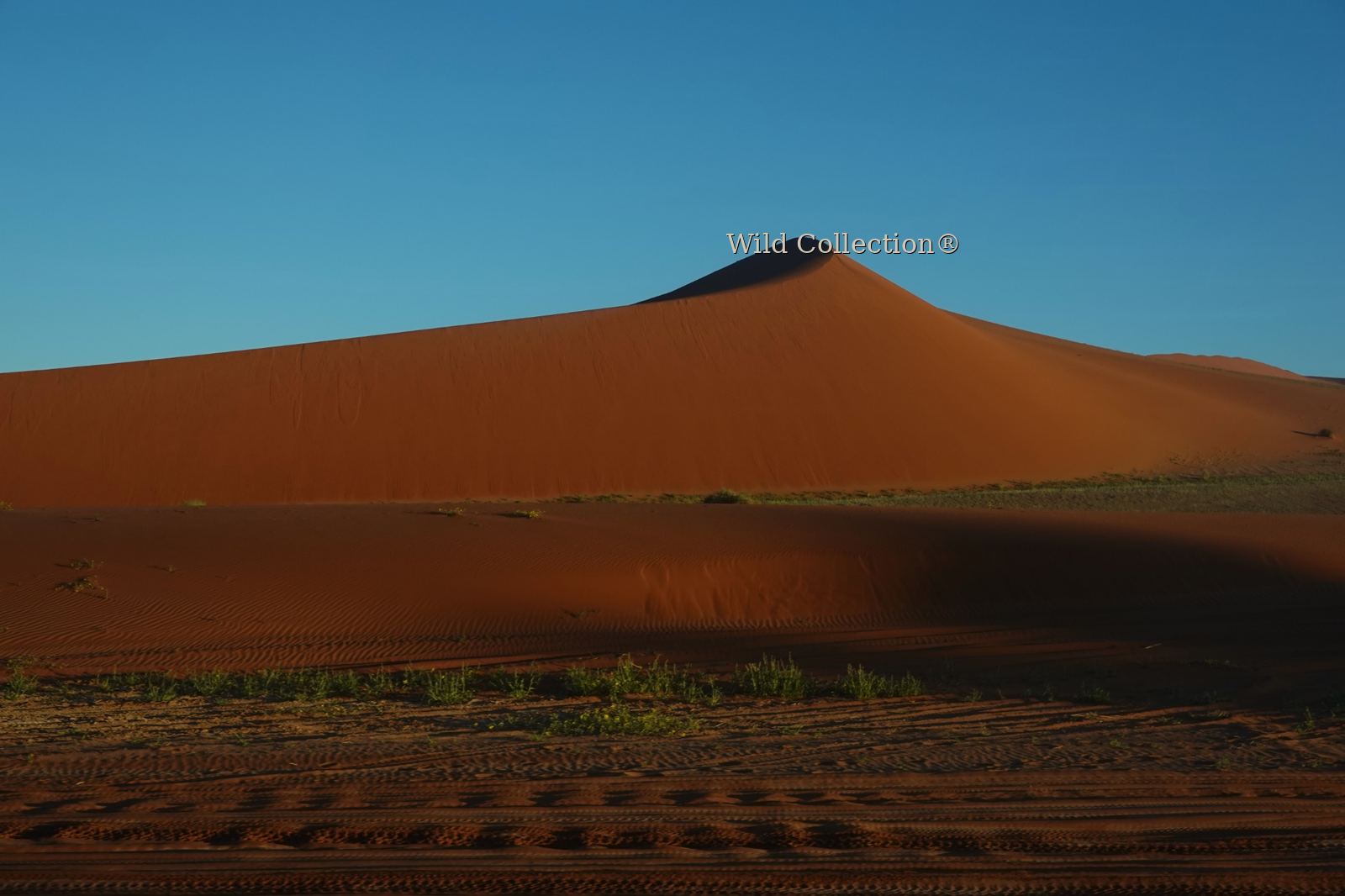 Sand Standing preview