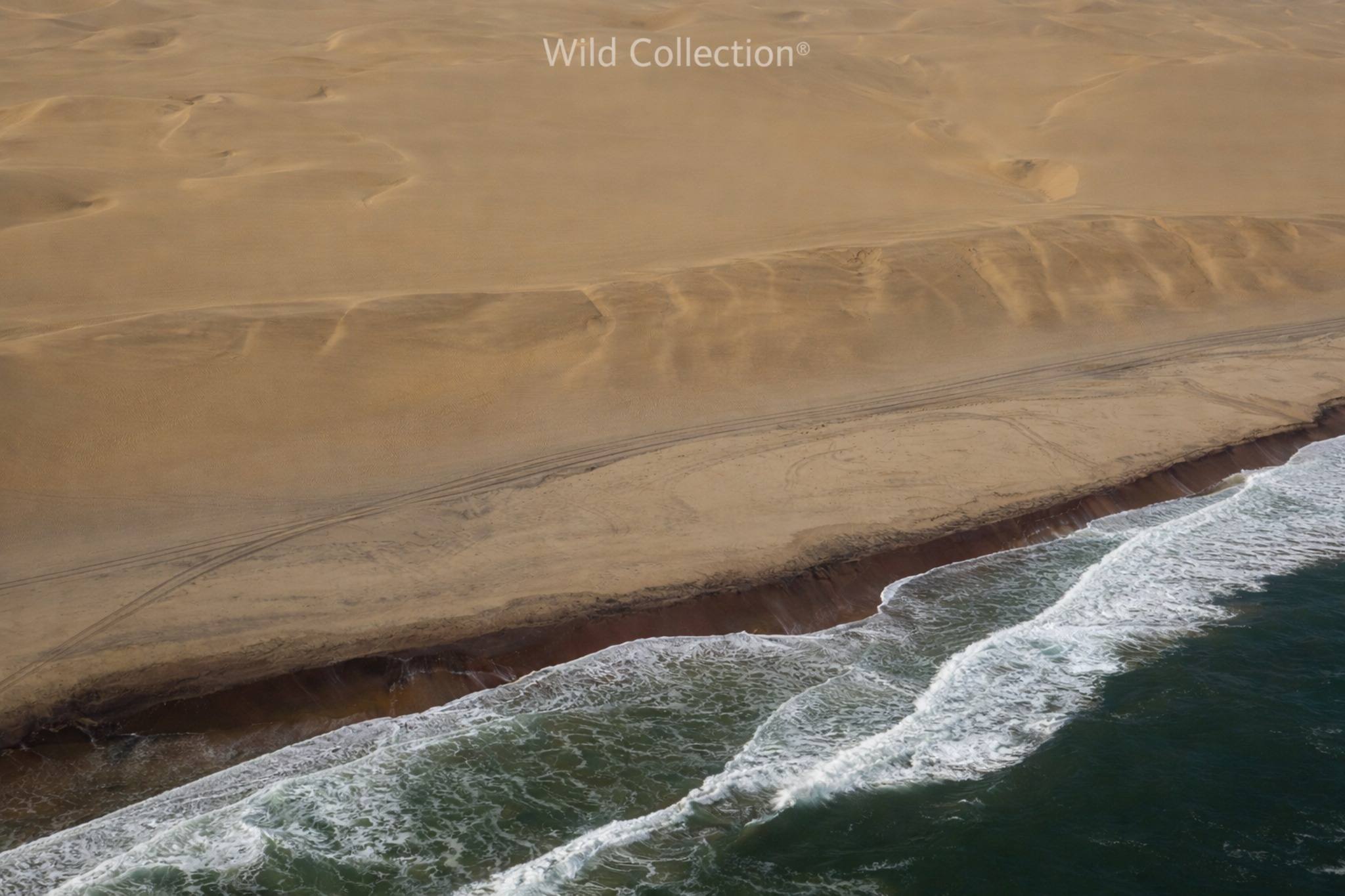 Dunes to Sea preview