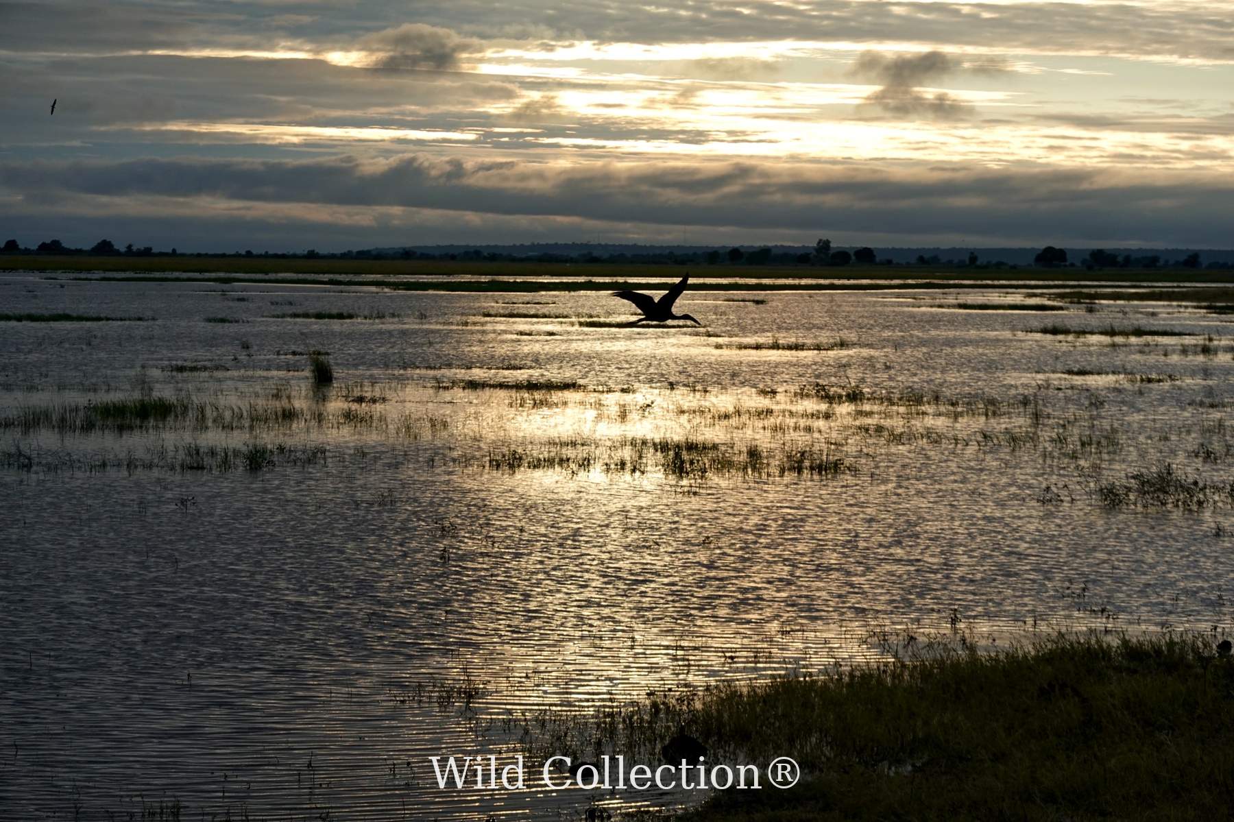 Lift at Dusk preview